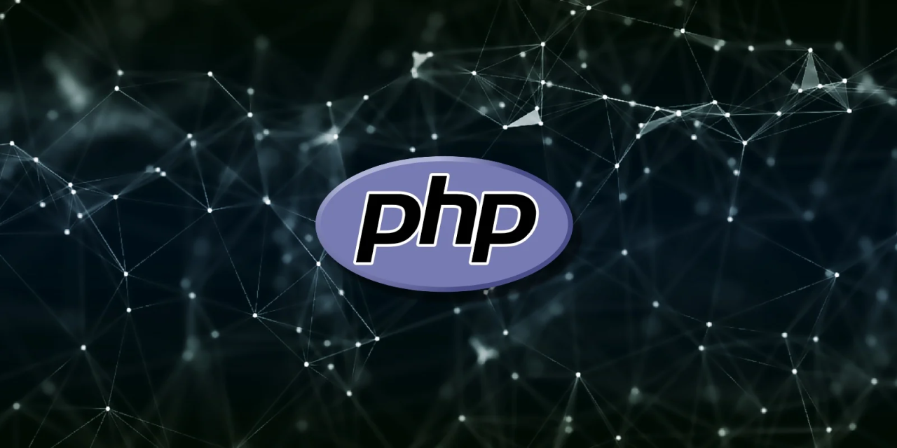 PHP-headpi_20240608-182045_1