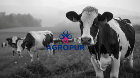 Dairy giant Agropur says data breach exposed customer info
