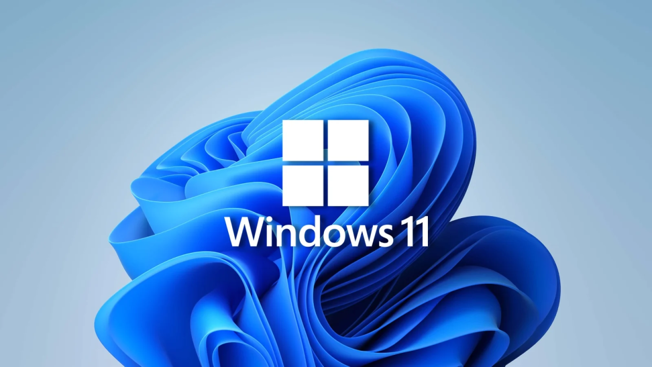 0_Windows_11
